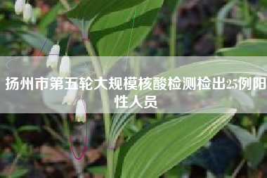 扬州市第五轮大规模核酸检测检出25例阳性人员