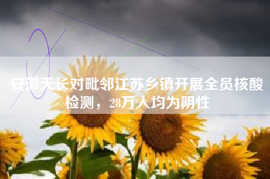 安徽天长对毗邻江苏乡镇开展全员核酸检测，28万人均为阴性
