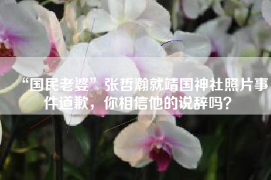 “国民老婆”张哲瀚就靖国神社照片事件道歉，你相信他的说辞吗？