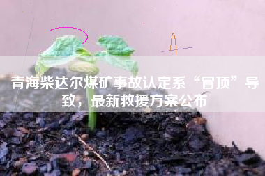青海柴达尔煤矿事故认定系“冒顶”导致，最新救援方案公布