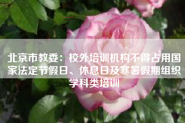 北京市教委：校外培训机构不得占用国家法定节假日、休息日及寒暑假期组织学科类培训