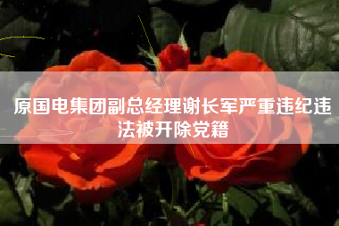 原国电集团副总经理谢长军严重违纪违法被开除党籍