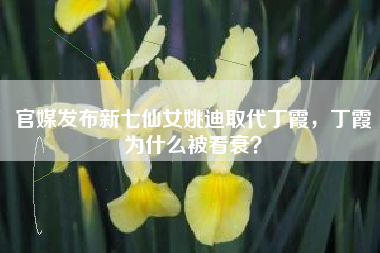 官媒发布新七仙女姚迪取代丁霞，丁霞为什么被看衰？