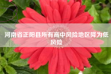河南省正阳县所有高中风险地区降为低风险