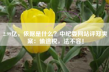 2.99亿，依据是什么？中纪委网站评郑爽案：偷逃税，法不容！