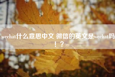 wechat什么意思中文 微信的英文是wechat吗！？
