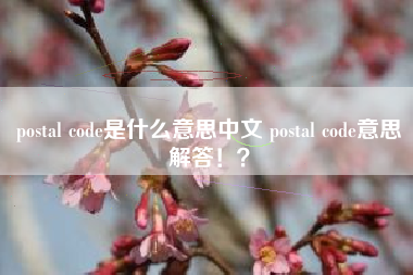 postal code是什么意思中文 postal code意思解答！？