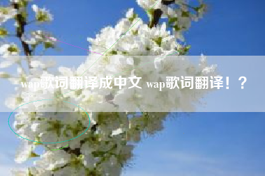 wap歌词翻译成中文 wap歌词翻译！？