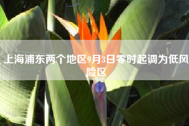 上海浦东两个地区9月3日零时起调为低风险区