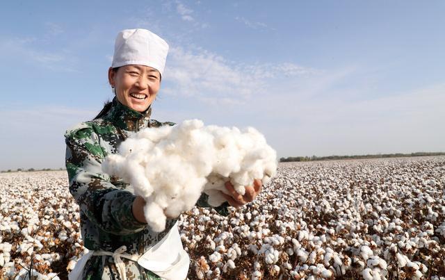 抵制新疆棉花的都有哪些品牌,抵制新疆棉花品牌详解
