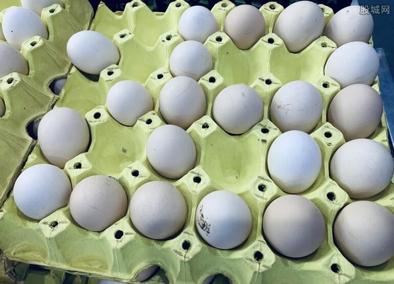 韩国鸡蛋价格暴涨超50% 具体受到什么影响？