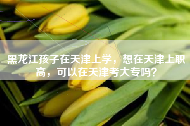黑龙江孩子在天津上学，想在天津上职高，可以在天津考大专吗？