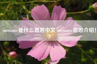 surname是什么意思中文 surname意思介绍！？