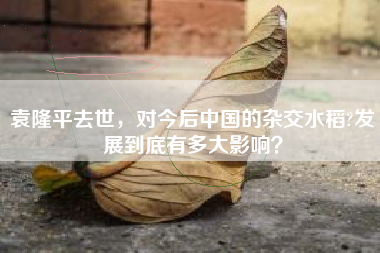 袁隆平去世，对今后中国的杂交水稻?发展到底有多大影响？