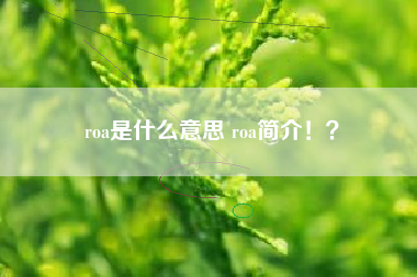 roa是什么意思 roa简介！？