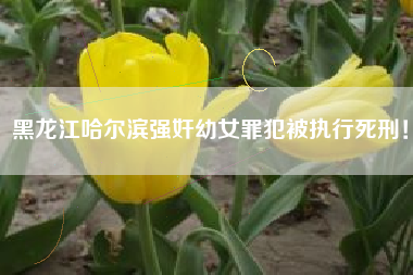 黑龙江哈尔滨强奸幼女罪犯被执行死刑！