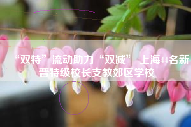 “双特”流动助力“双减” 上海44名新晋特级校长支教郊区学校