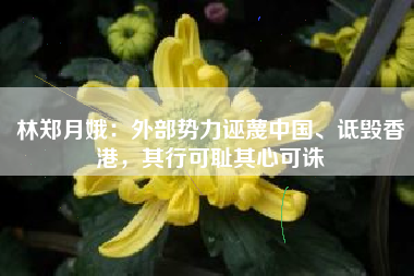 林郑月娥：外部势力诬蔑中国、诋毁香港，其行可耻其心可诛
