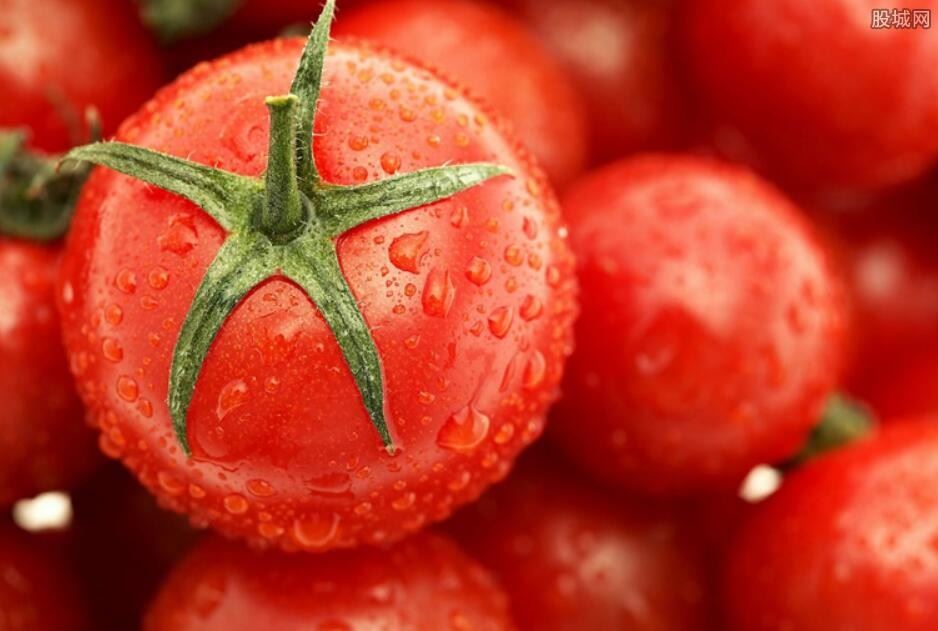2021年番茄概念股有哪些 相关个股一览