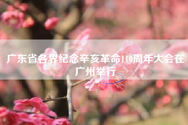 广东省各界纪念辛亥革命110周年大会在广州举行