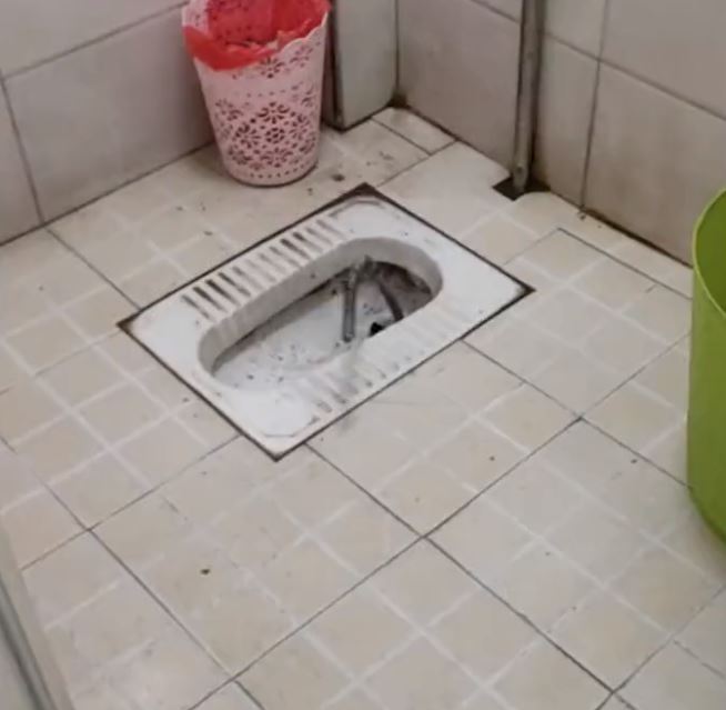 哭笑不得！湖南湘潭一厕所突然钻出一截管子，竟还剧烈扭动