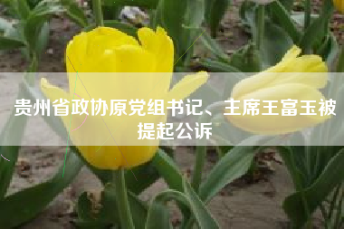 贵州省政协原党组书记、主席王富玉被提起公诉