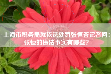 上海市税务局就依法处罚张恒答记者问：张恒的违法事实有哪些？
