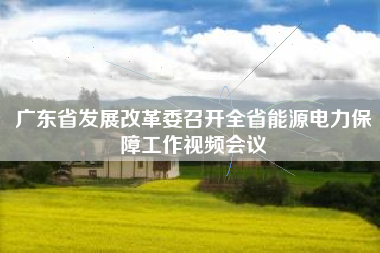 广东省发展改革委召开全省能源电力保障工作视频会议