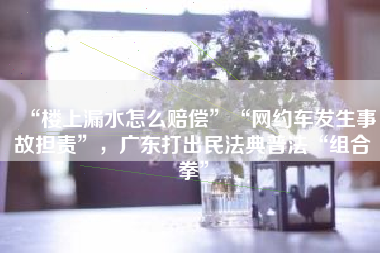 “楼上漏水怎么赔偿”“网约车发生事故担责”，广东打出民法典普法“组合拳”