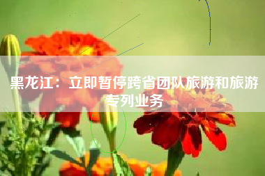 黑龙江：立即暂停跨省团队旅游和旅游专列业务