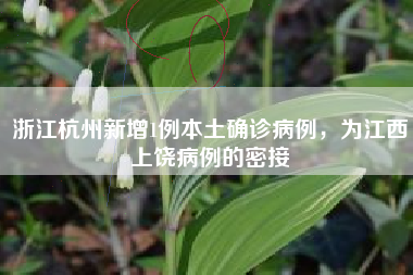浙江杭州新增1例本土确诊病例，为江西上饶病例的密接
