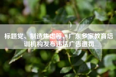 标题党、制造焦虑等，广东多家教育培训机构发布违法广告遭罚