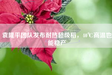 袁隆平团队发布耐热超级稻，40℃高温也能稳产