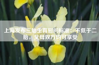 上海发布三胎生育慰问标准：不低于二胎，父母双方均可享受