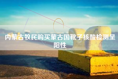 内蒙古牧民购买蒙古国靴子核酸检测呈阳性
