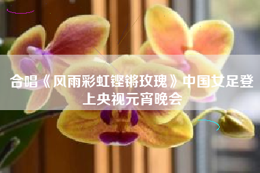 合唱《风雨彩虹铿锵玫瑰》中国女足登上央视元宵晚会