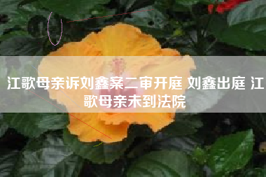 江歌母亲诉刘鑫案二审开庭 刘鑫出庭 江歌母亲未到法院