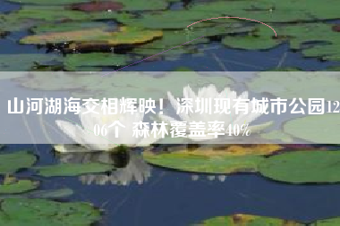 山河湖海交相辉映！深圳现有城市公园1206个 森林覆盖率40%
