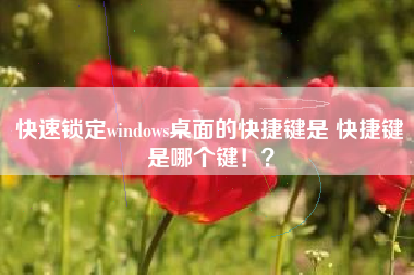 快速锁定windows桌面的快捷键是 快捷键是哪个键！？
