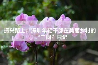 振兴路上：深圳年轻干部在美丽乡村的“三同”日记