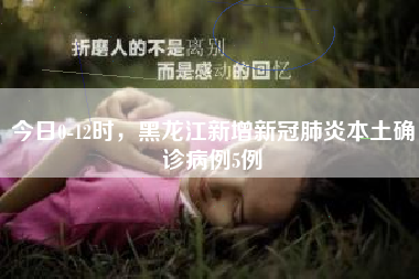 今日0-12时，黑龙江新增新冠肺炎本土确诊病例5例