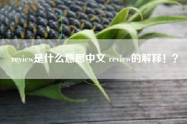 review是什么意思中文 review的解释！？