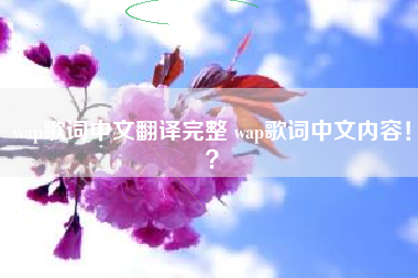 wap歌词中文翻译完整 wap歌词中文内容！？