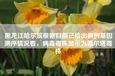 黑龙江哈尔滨根据目前已检出病例基因测序情况看，病毒毒株显示为德尔塔毒株