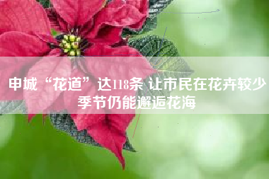 申城“花道”达118条 让市民在花卉较少季节仍能邂逅花海